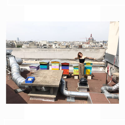 23 juni 2017: Le Bristol makes its own honey on the roof! 🇫🇷 🐝 ❤ 
The @edun trousers are created by artisans in Burkina Faso, featuring a zipper made from recycled brass. EDUN is building long-term, sustainable growth opportunities by supporting manufacturers, community-based initiatives and partnering with African artists and artisans.
Top is @breelayneofficial and made in downtown LA by local artisans from mesh and lined in silk. Both materials were leftovers discarded by other designers, and were bought to recycle and repurpose in new garments. For every item sold, a tree is planted.
Bag made in a family-owned factory in Alicante, Spain by @m2malletier. The factory was opened in 1981 by shoe designer Jaime Romero and his wife. Today, 25 artisans from the local town of Sax work in the factory and have been working there for at least 15 years. Everything is handcrafted using skills and traditions which have been passed down generations.
Shoes @creaturesofcomfort, crafted in a small factory just outside of Florence. Creatures of Comfort recently participated in #womentogether and #whyimarch campaigns donating a portion of its proceeds to Planned Parenthood and the ACLU and SPL Center. The brand is also participating in a campaign headed by Women for Women International that supports women in war zones.
@shiffonco jewellery made in New York City. Half the profit from Shiffon's pinky ring collection and 10% of profits from all other Shiffon products directly fund seed grants for female entrepreneurs and companies that promote the well-being of women. Through partnering with One Young World, Shiffon has been able to reach a growing group of young innovators across the globe.
All fashion info verified by @ecoage 
All beauty brands are cruelty-free and formulated using both natural, mineral and organic ingredients.
Beauty info verified by @contentbeauty
