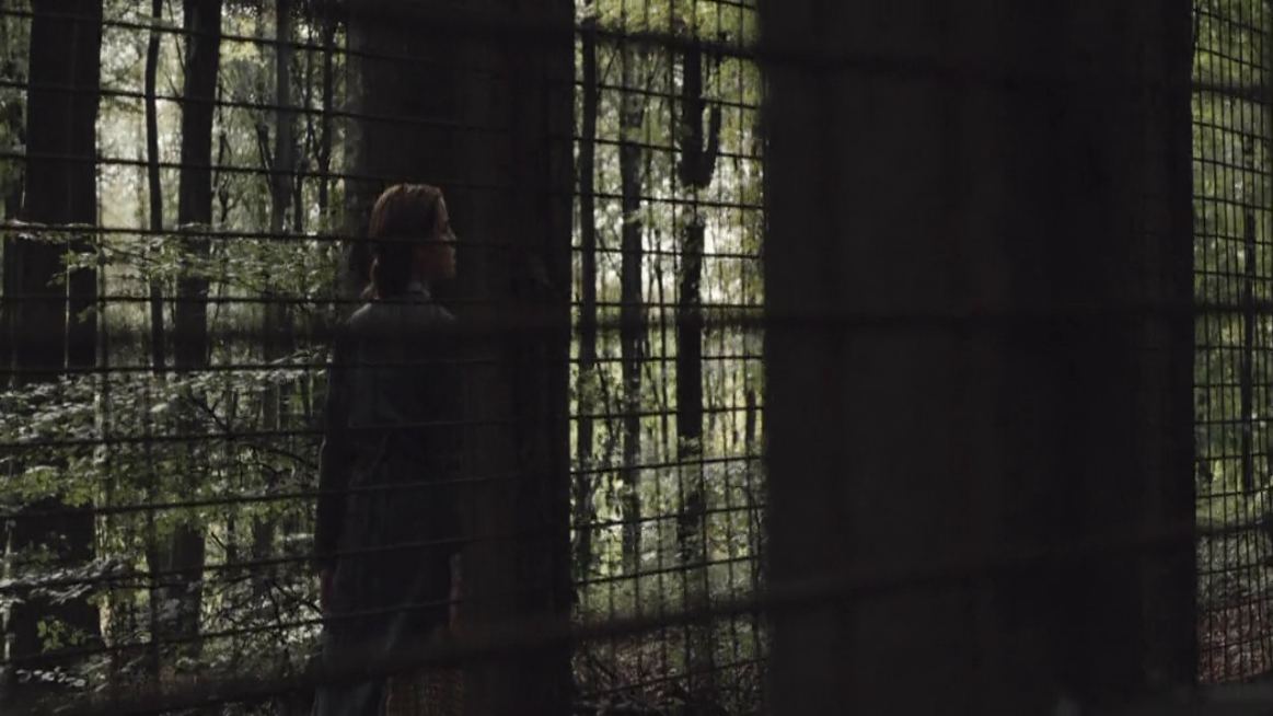 EmmaWatsonFan-dot-NL-ColoniaDignidad1529.jpg