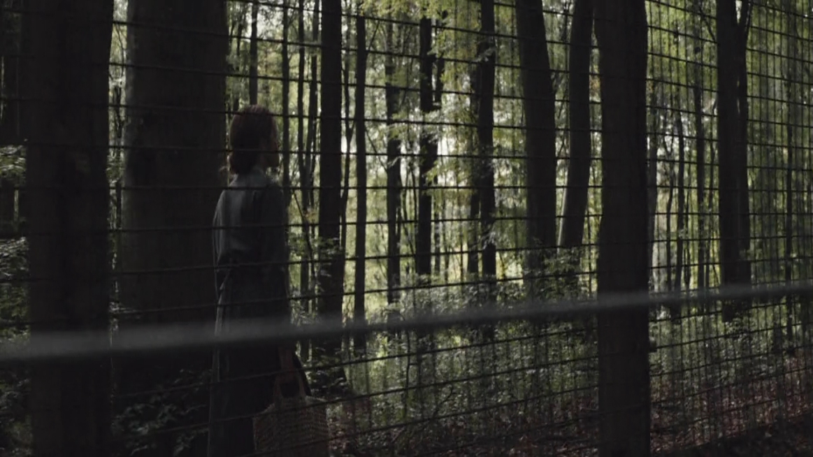EmmaWatsonFan-dot-NL-ColoniaDignidad1530.jpg