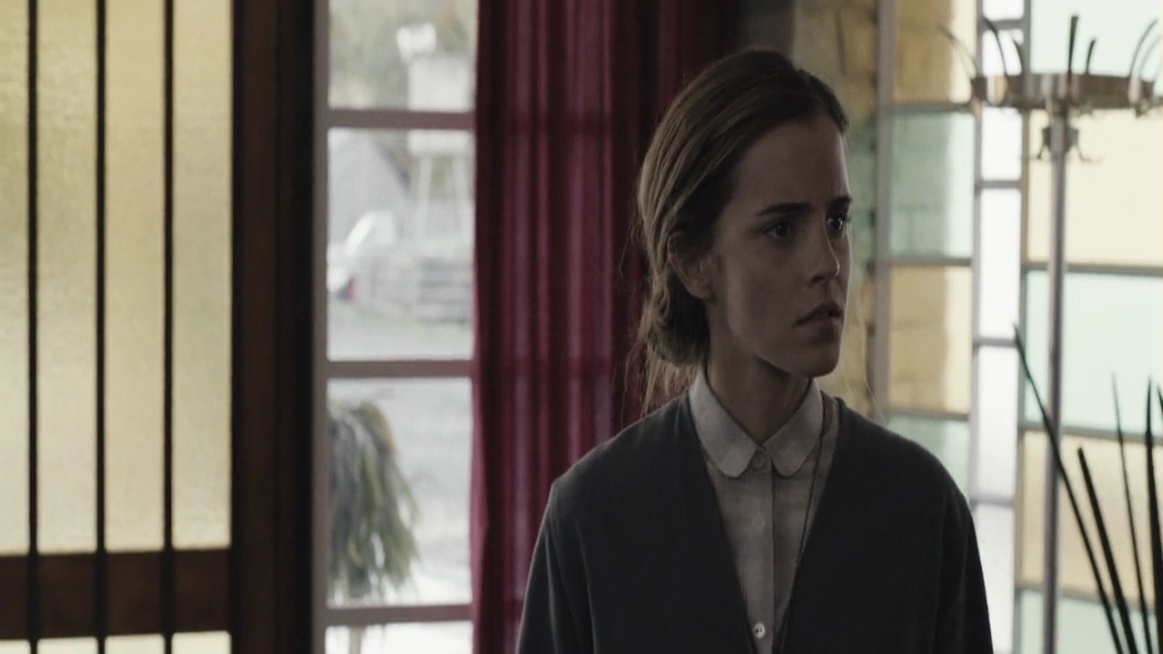 EmmaWatsonFan-dot-NL-ColoniaDignidad1707.jpg