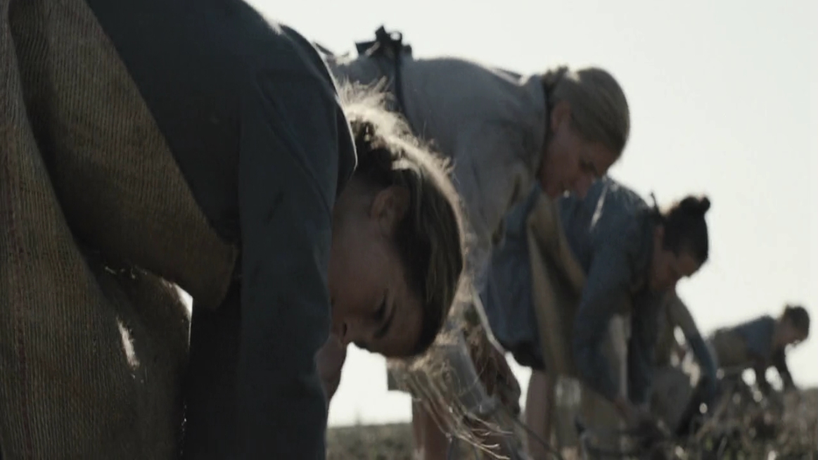 EmmaWatsonFan-dot-NL-ColoniaDignidad2236.jpg