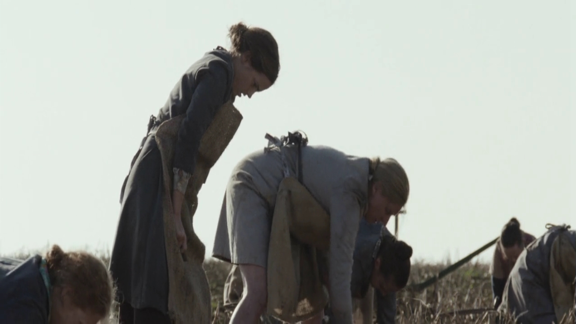 EmmaWatsonFan-dot-NL-ColoniaDignidad2249.jpg
