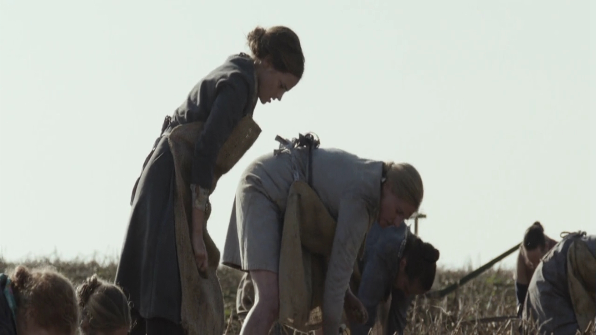 EmmaWatsonFan-dot-NL-ColoniaDignidad2250.jpg