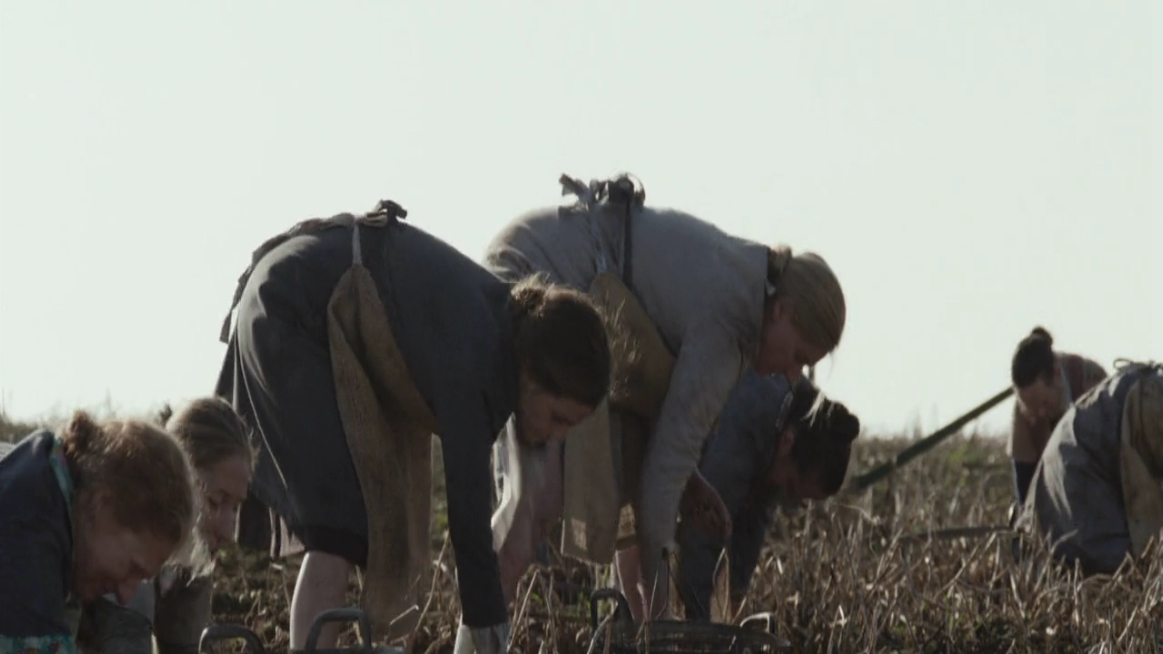 EmmaWatsonFan-dot-NL-ColoniaDignidad2251.jpg