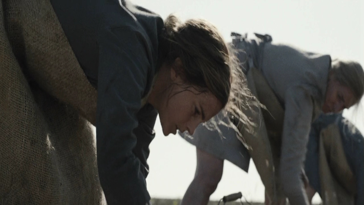 EmmaWatsonFan-dot-NL-ColoniaDignidad2252.jpg