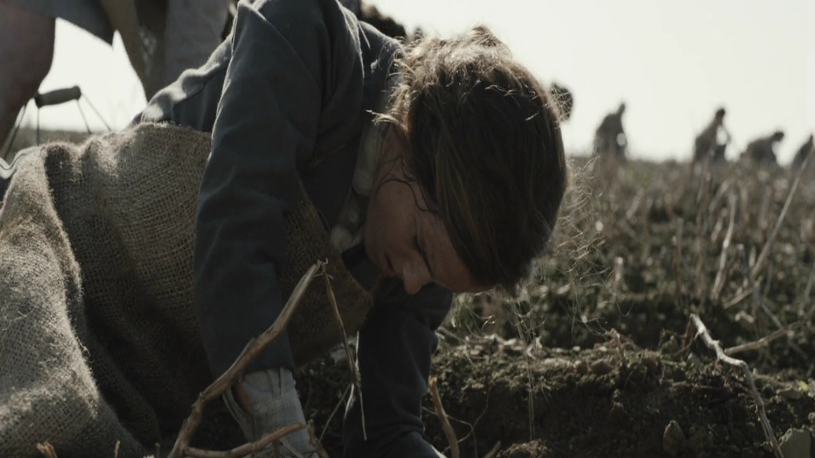 EmmaWatsonFan-dot-NL-ColoniaDignidad2262.jpg