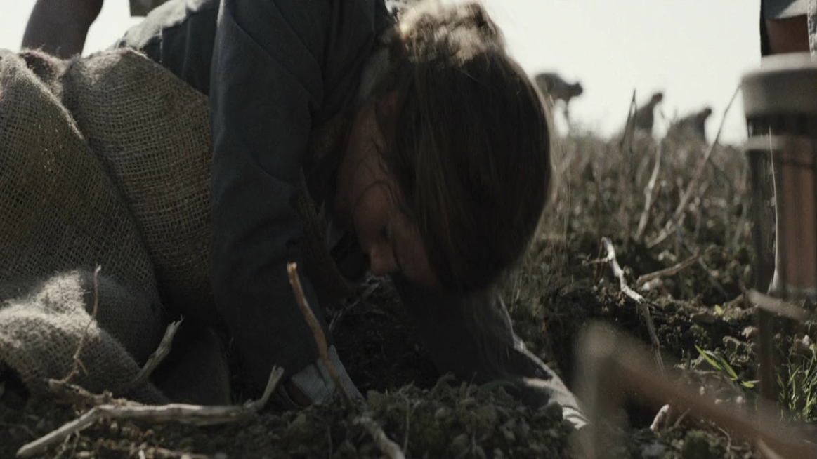 EmmaWatsonFan-dot-NL-ColoniaDignidad2264.jpg