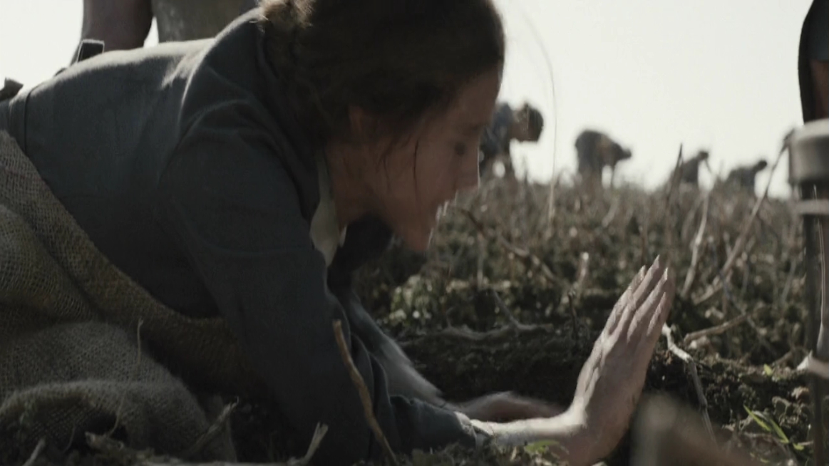 EmmaWatsonFan-dot-NL-ColoniaDignidad2268.jpg