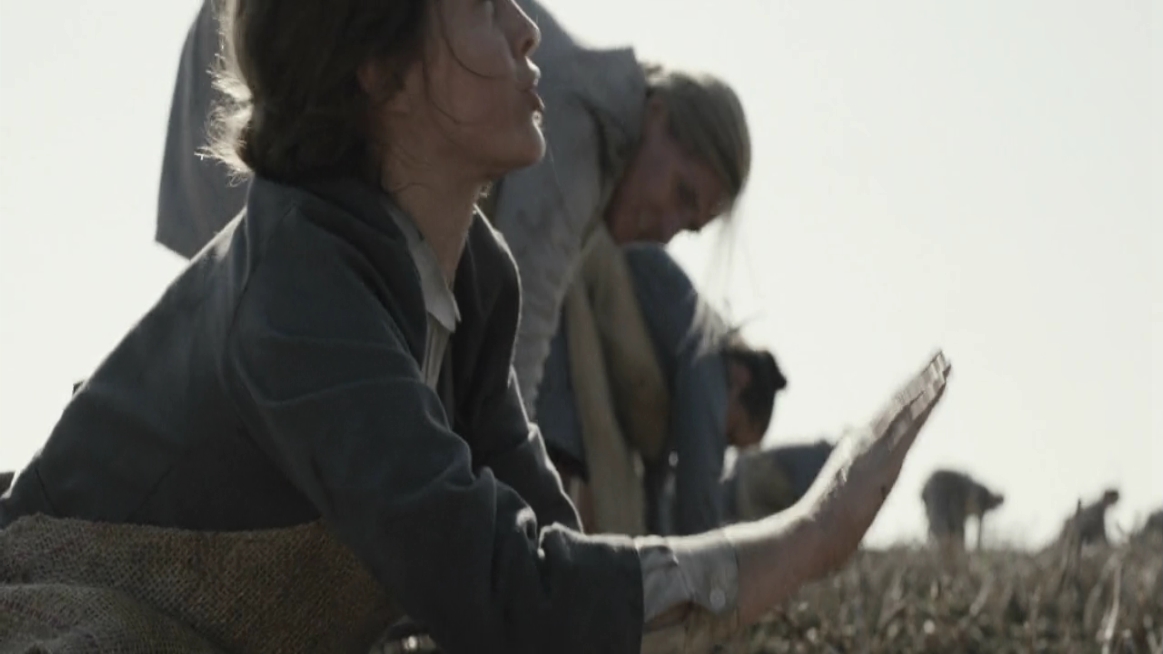 EmmaWatsonFan-dot-NL-ColoniaDignidad2269.jpg
