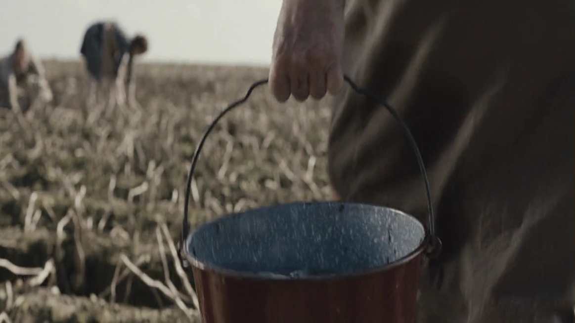EmmaWatsonFan-dot-NL-ColoniaDignidad2280.jpg