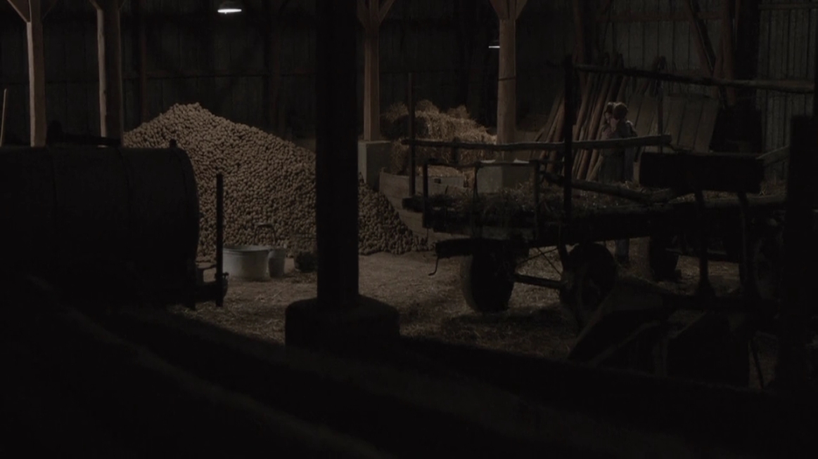 EmmaWatsonFan-dot-NL-ColoniaDignidad3968.jpg