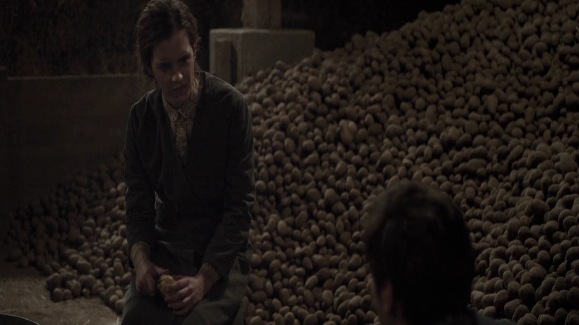 EmmaWatsonFan-dot-NL-ColoniaDignidad3994.jpg