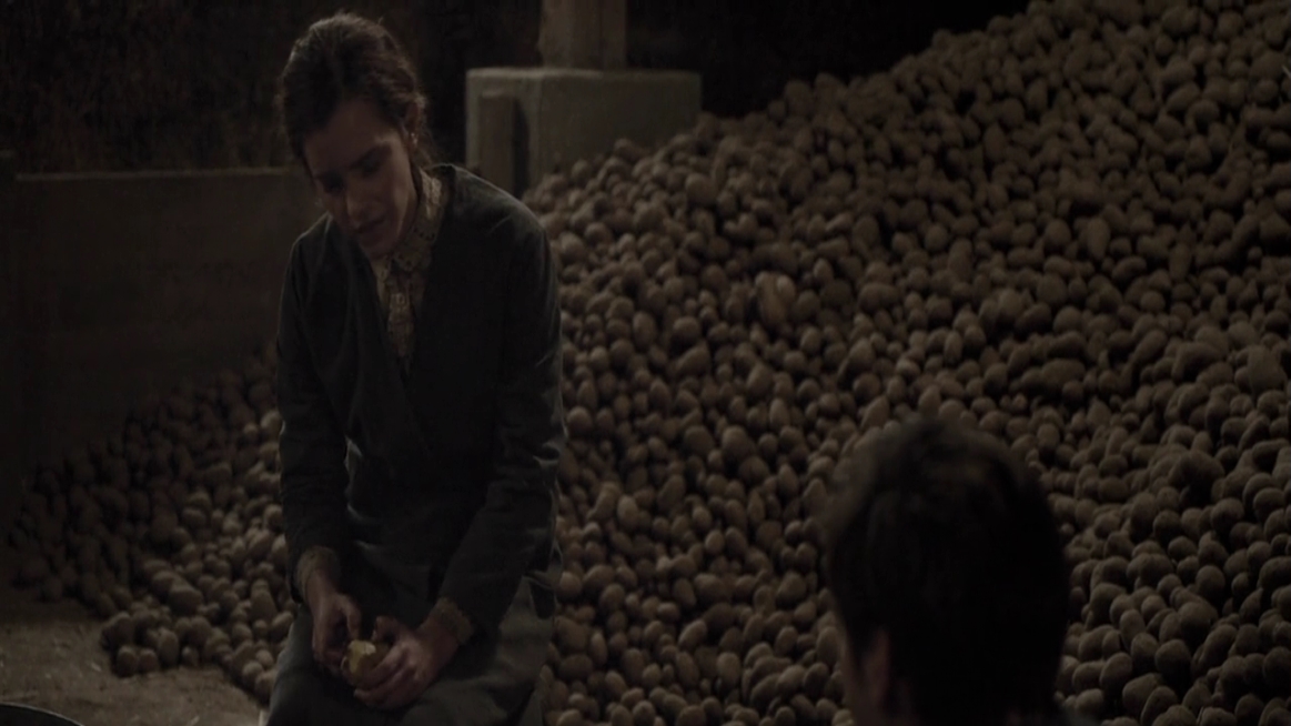 EmmaWatsonFan-dot-NL-ColoniaDignidad4000.jpg