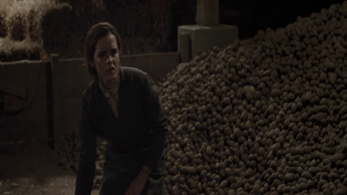 EmmaWatsonFan-dot-NL-ColoniaDignidad4009.jpg