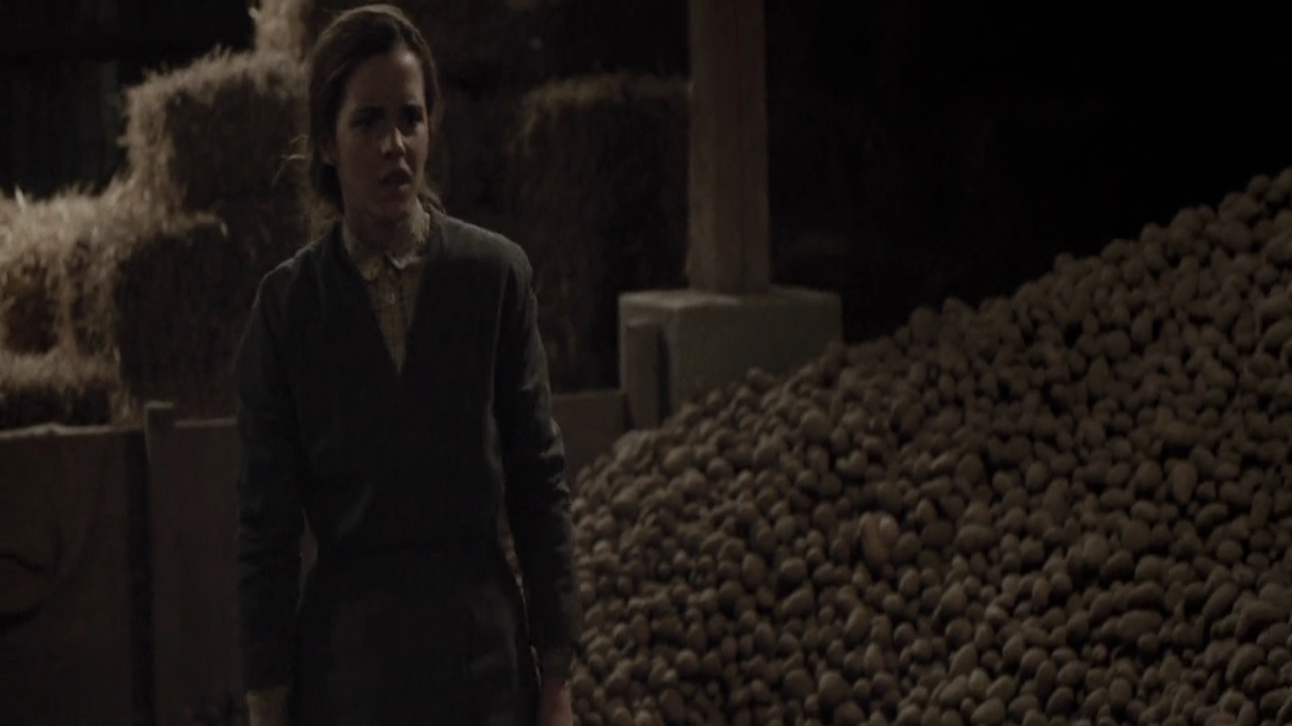 EmmaWatsonFan-dot-NL-ColoniaDignidad4010.jpg