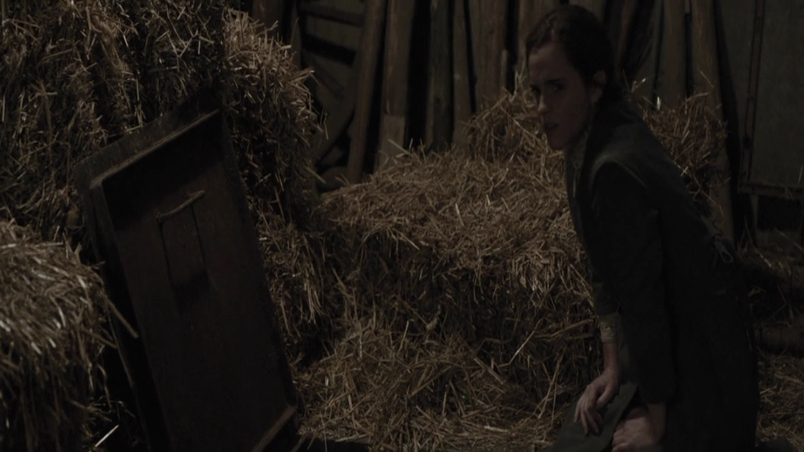 EmmaWatsonFan-dot-NL-ColoniaDignidad4065.jpg