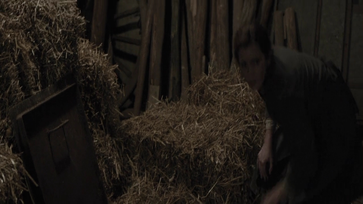 EmmaWatsonFan-dot-NL-ColoniaDignidad4075.jpg