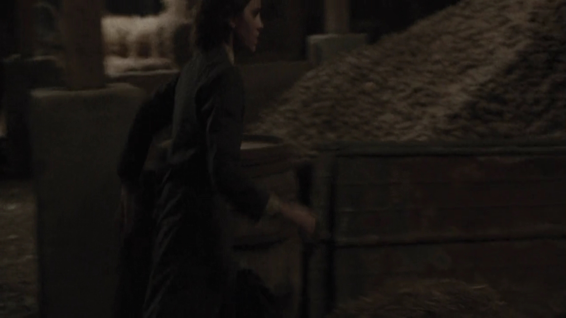 EmmaWatsonFan-dot-NL-ColoniaDignidad4115.jpg