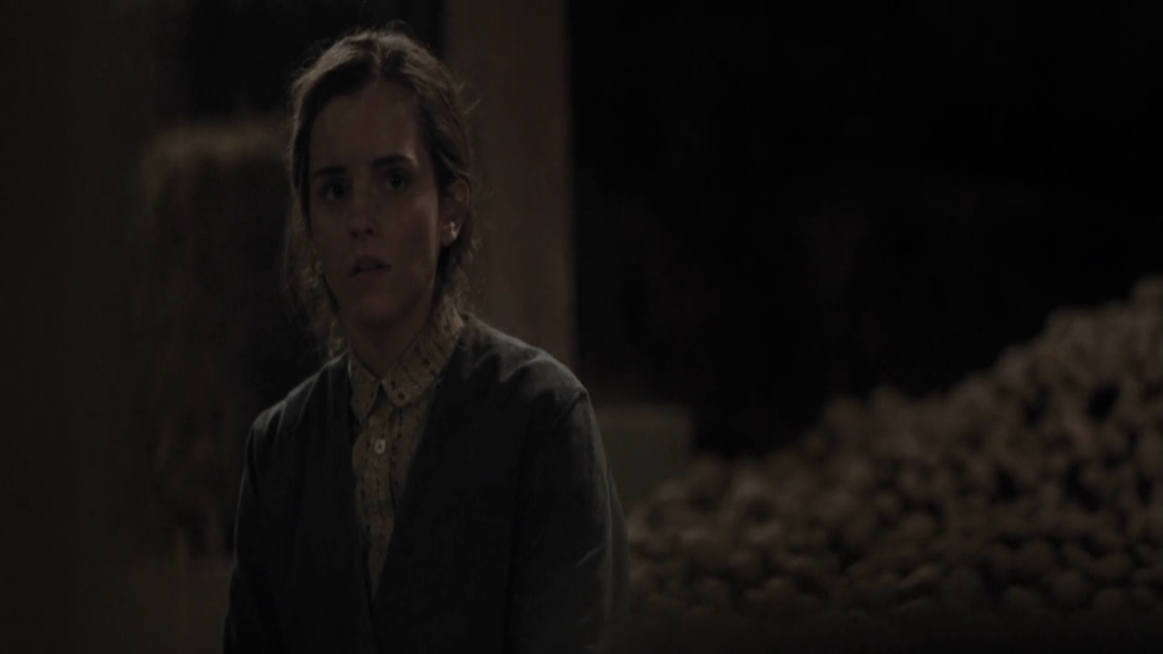 EmmaWatsonFan-dot-NL-ColoniaDignidad4138.jpg