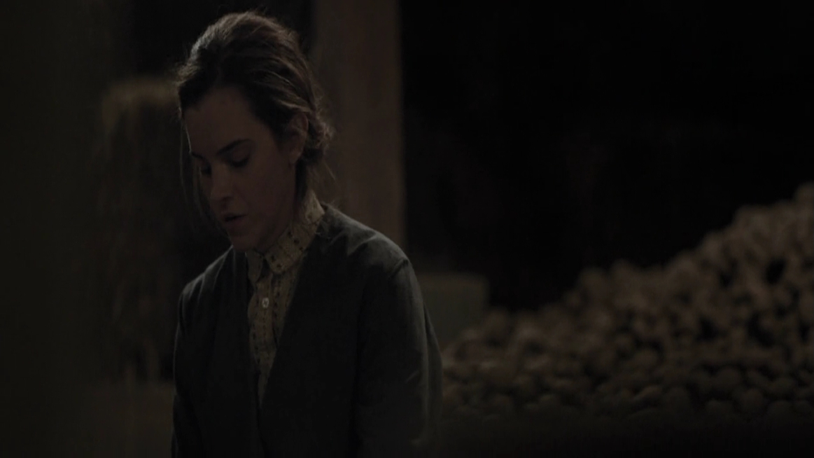 EmmaWatsonFan-dot-NL-ColoniaDignidad4143.jpg