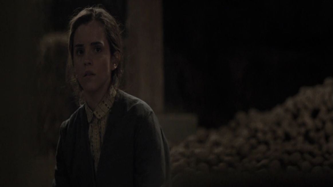 EmmaWatsonFan-dot-NL-ColoniaDignidad4146.jpg