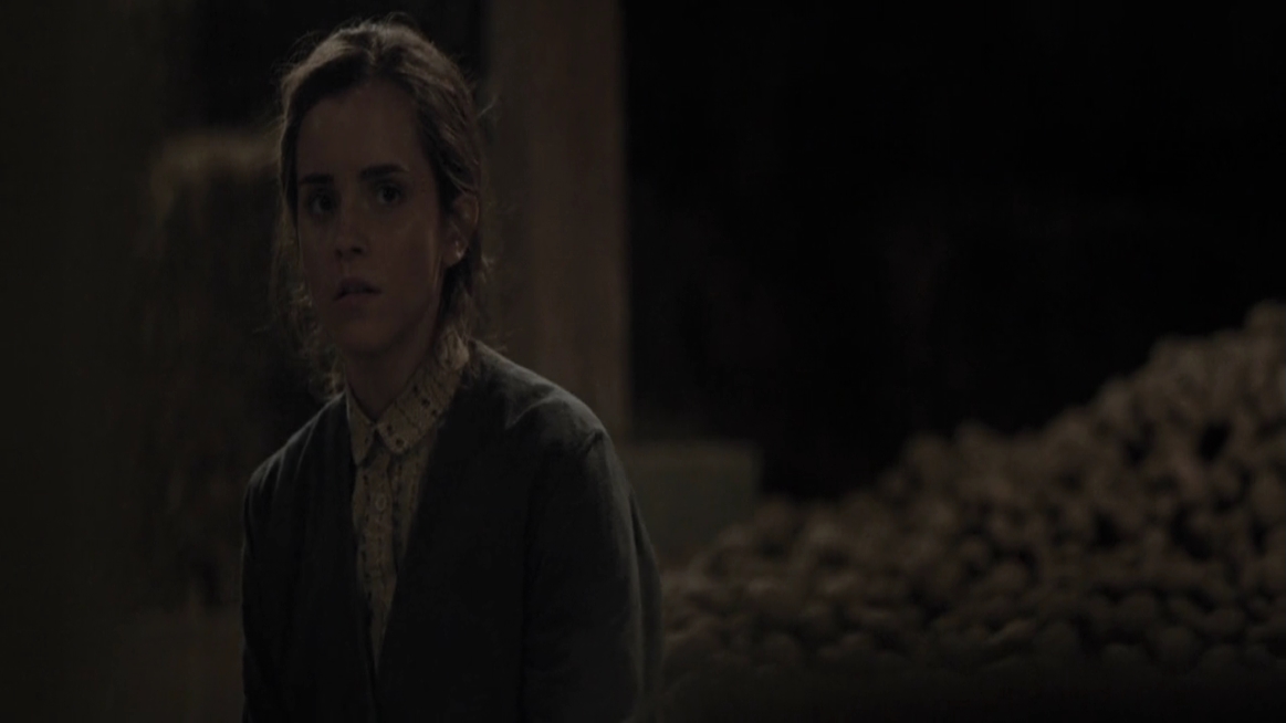 EmmaWatsonFan-dot-NL-ColoniaDignidad4147.jpg