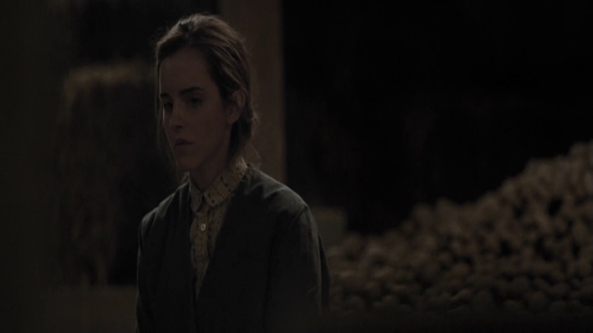 EmmaWatsonFan-dot-NL-ColoniaDignidad4155.jpg