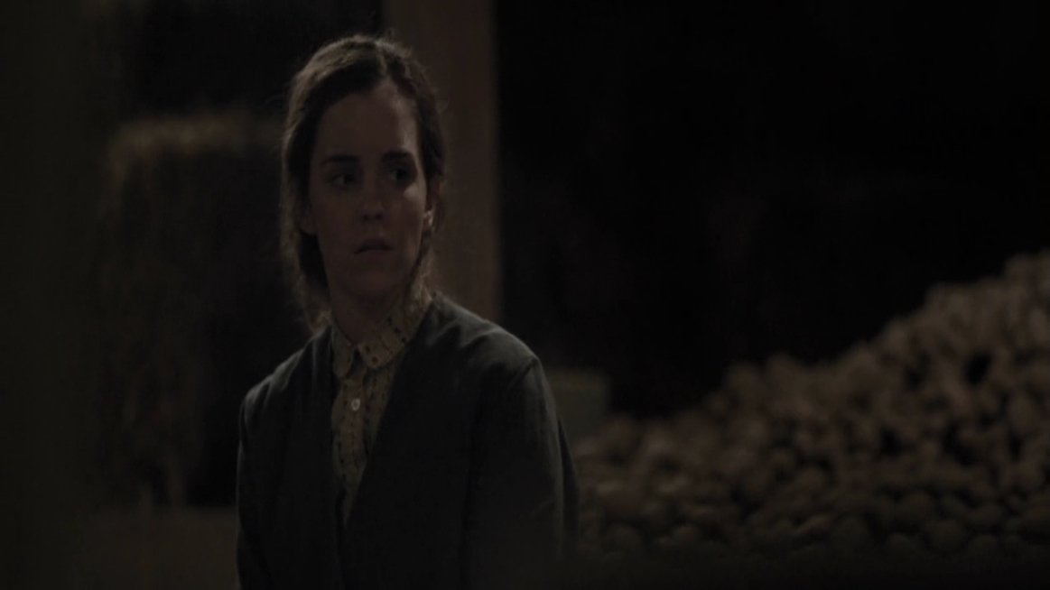 EmmaWatsonFan-dot-NL-ColoniaDignidad4156.jpg