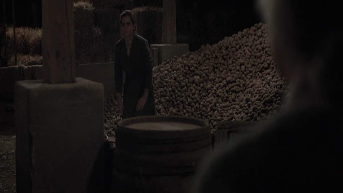 EmmaWatsonFan-dot-NL-ColoniaDignidad4160.jpg