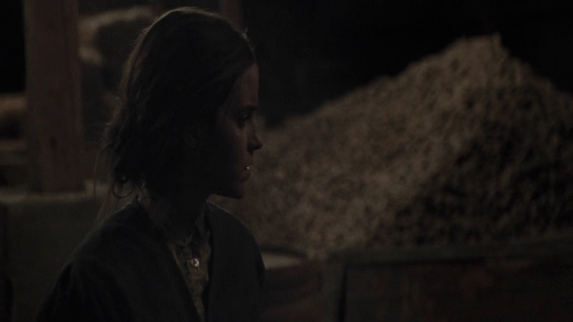 EmmaWatsonFan-dot-NL-ColoniaDignidad4170.jpg