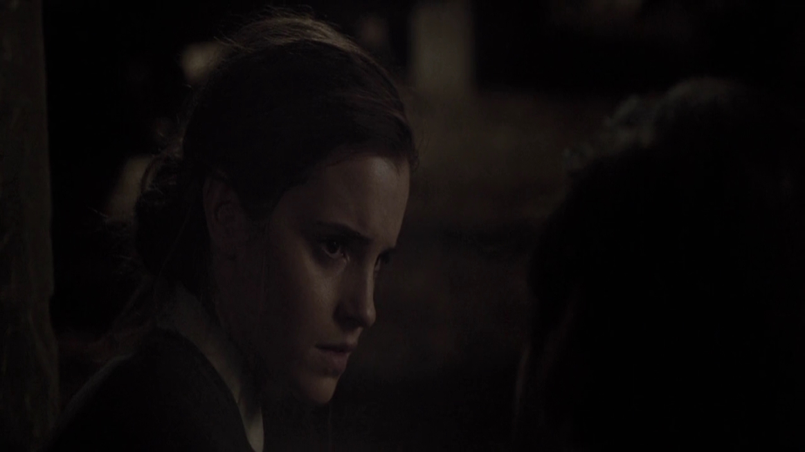 EmmaWatsonFan-dot-NL-ColoniaDignidad4524.jpg