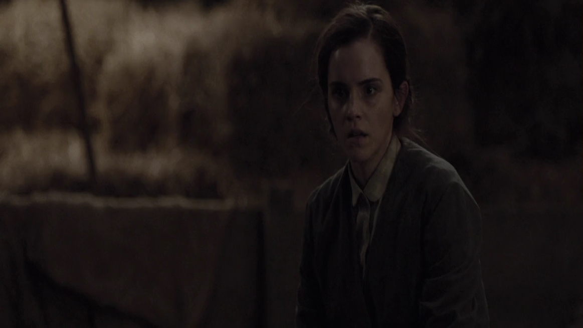 EmmaWatsonFan-dot-NL-ColoniaDignidad4646.jpg