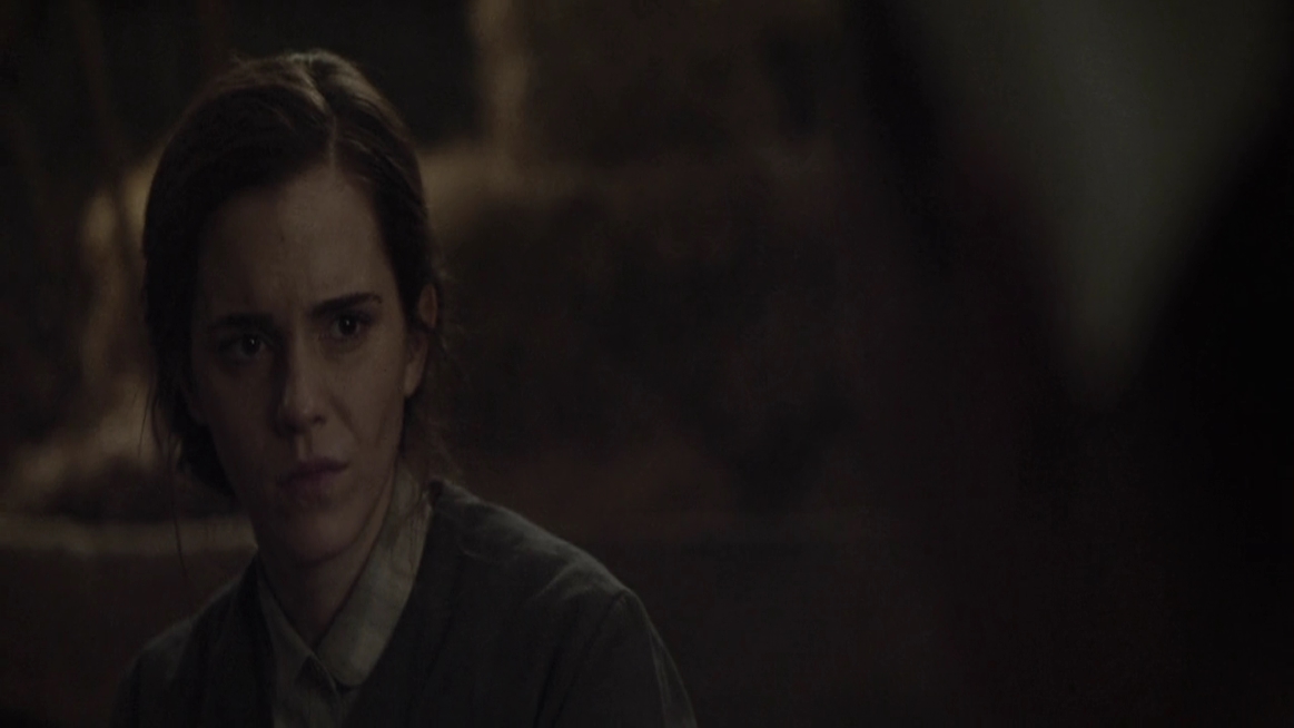 EmmaWatsonFan-dot-NL-ColoniaDignidad4785.jpg