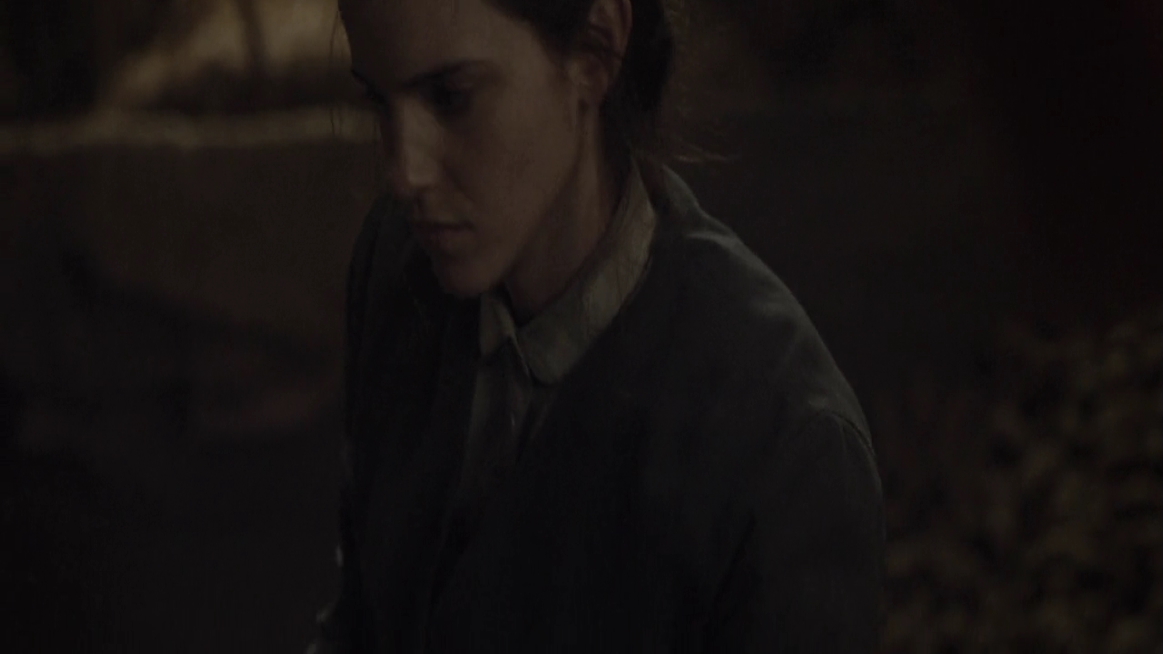 EmmaWatsonFan-dot-NL-ColoniaDignidad4827.jpg
