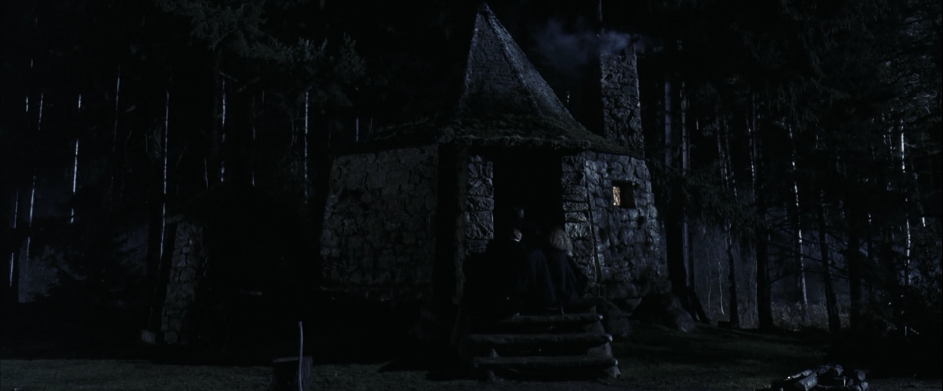 EmmaWatsonFan-dot-nl_HarryPotterandthePhilosophersStone3939.jpg
