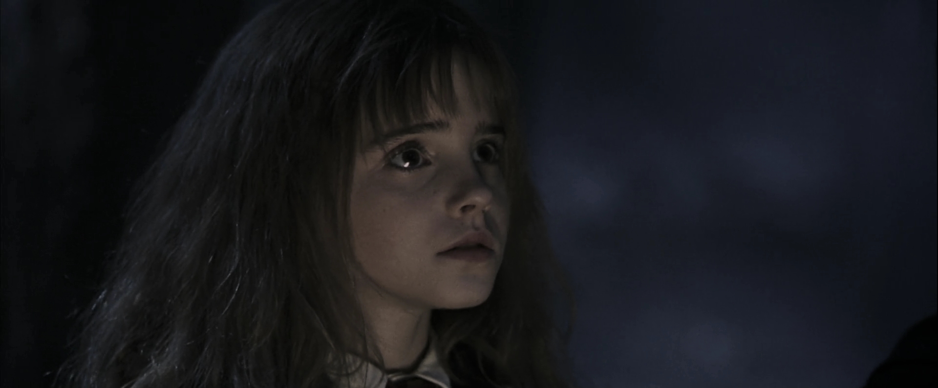 EmmaWatsonFan-dot-nl_HarryPotterandthePhilosophersStone4318.jpg