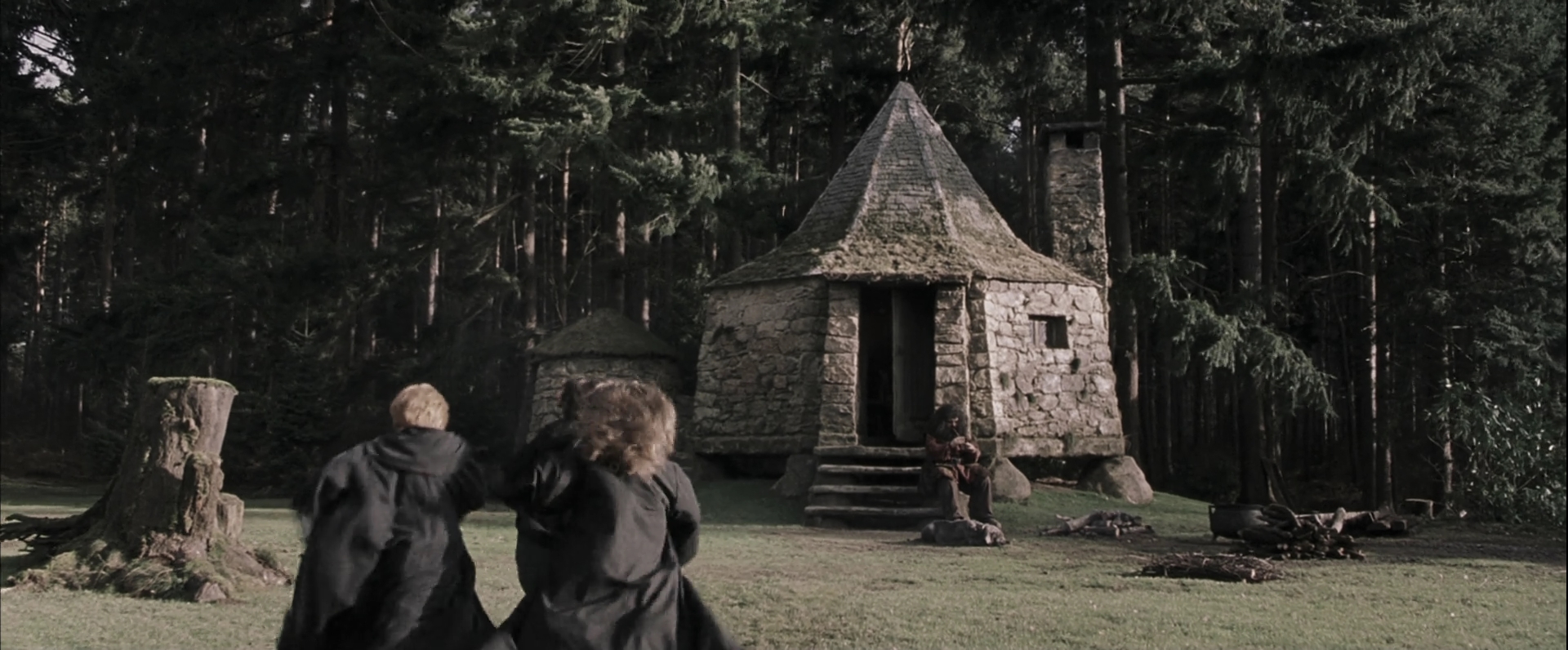 EmmaWatsonFan-dot-nl_HarryPotterandthePhilosophersStone4639.jpg