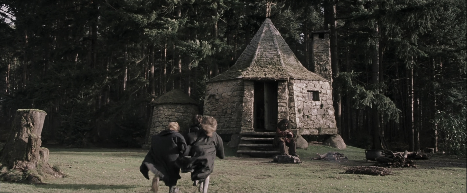 EmmaWatsonFan-dot-nl_HarryPotterandthePhilosophersStone4640.jpg