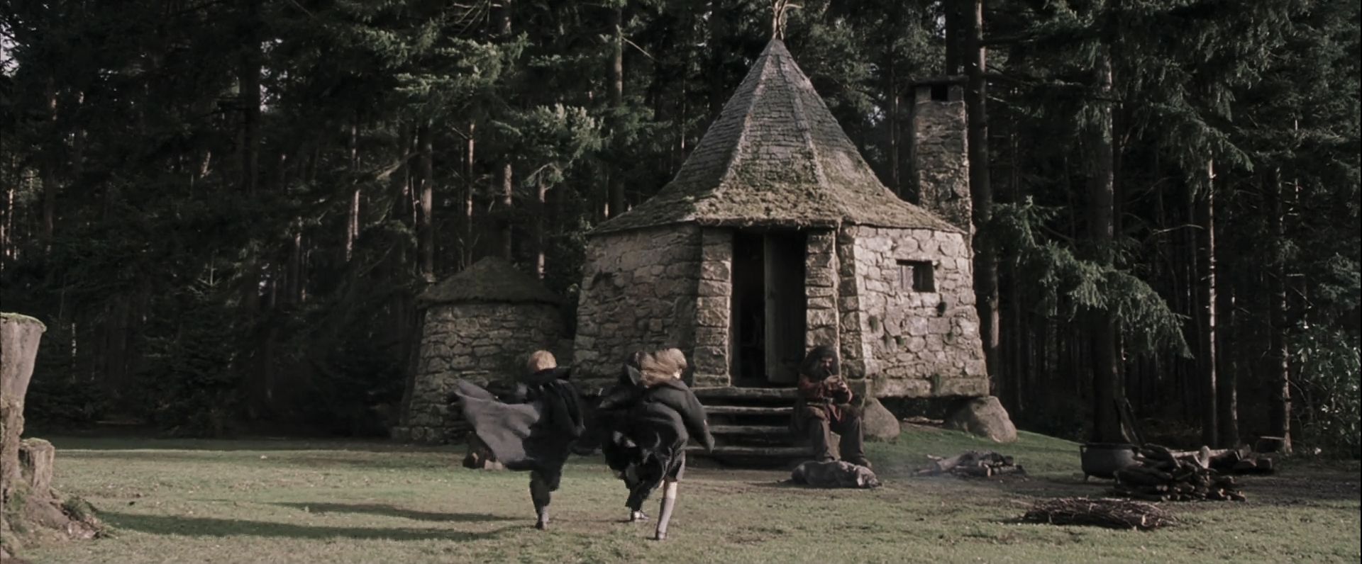 EmmaWatsonFan-dot-nl_HarryPotterandthePhilosophersStone4641.jpg