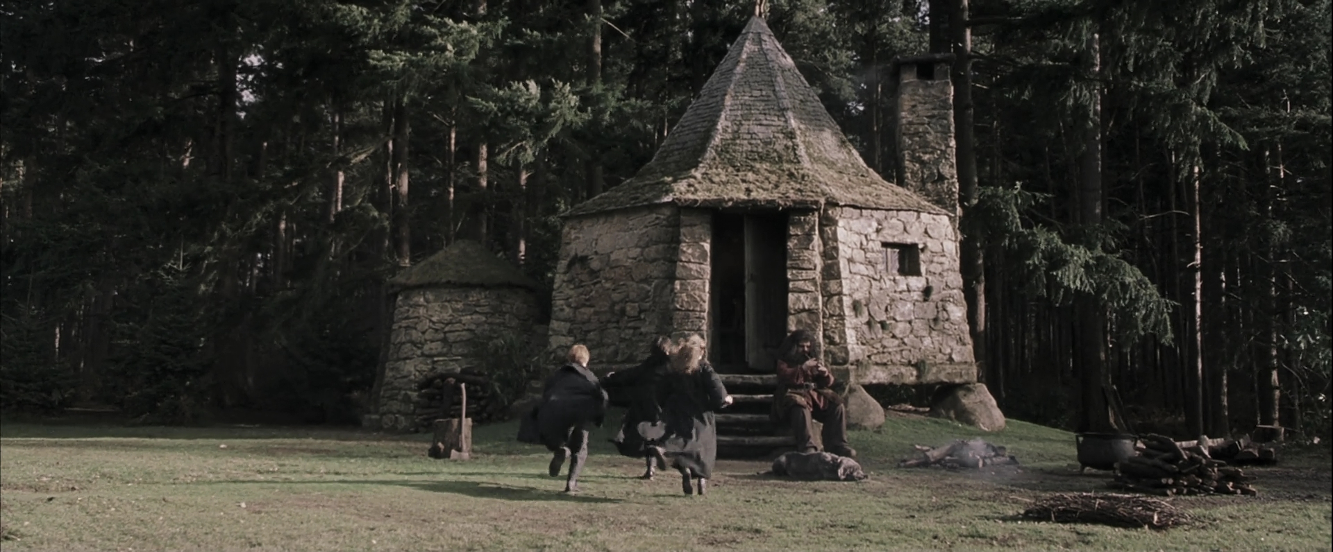 EmmaWatsonFan-dot-nl_HarryPotterandthePhilosophersStone4642.jpg