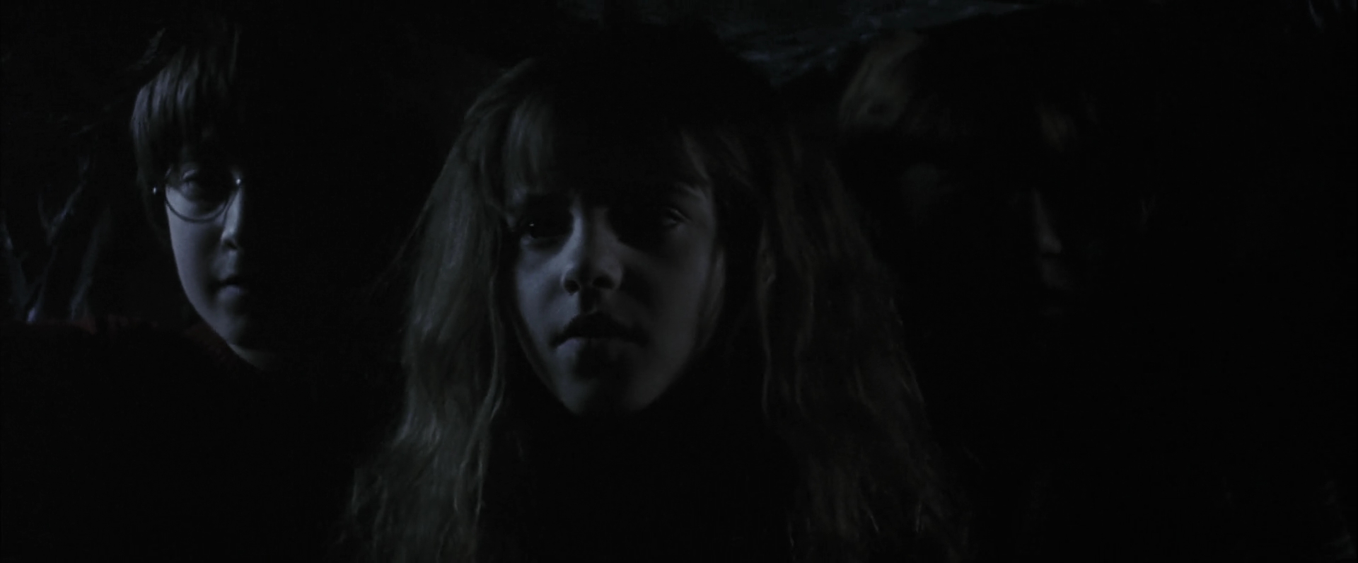 EmmaWatsonFan-dot-nl_HarryPotterandthePhilosophersStone4852.jpg