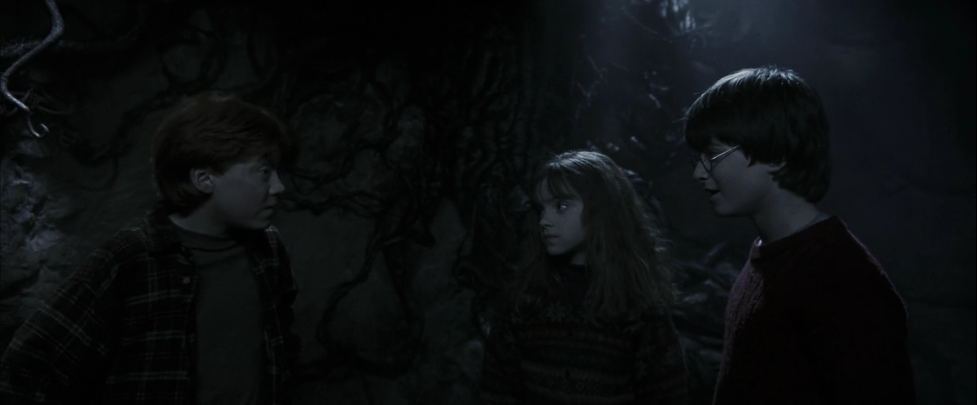 EmmaWatsonFan-dot-nl_HarryPotterandthePhilosophersStone5055.jpg