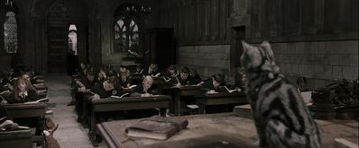 EmmaWatsonFan-dot-nl_HarryPotterandthePhilosophersStone0880.jpg