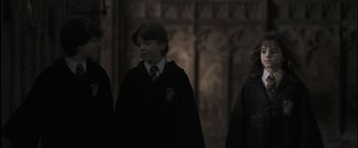 EmmaWatsonFan-dot-nl_HarryPotterandthePhilosophersStone2317.jpg