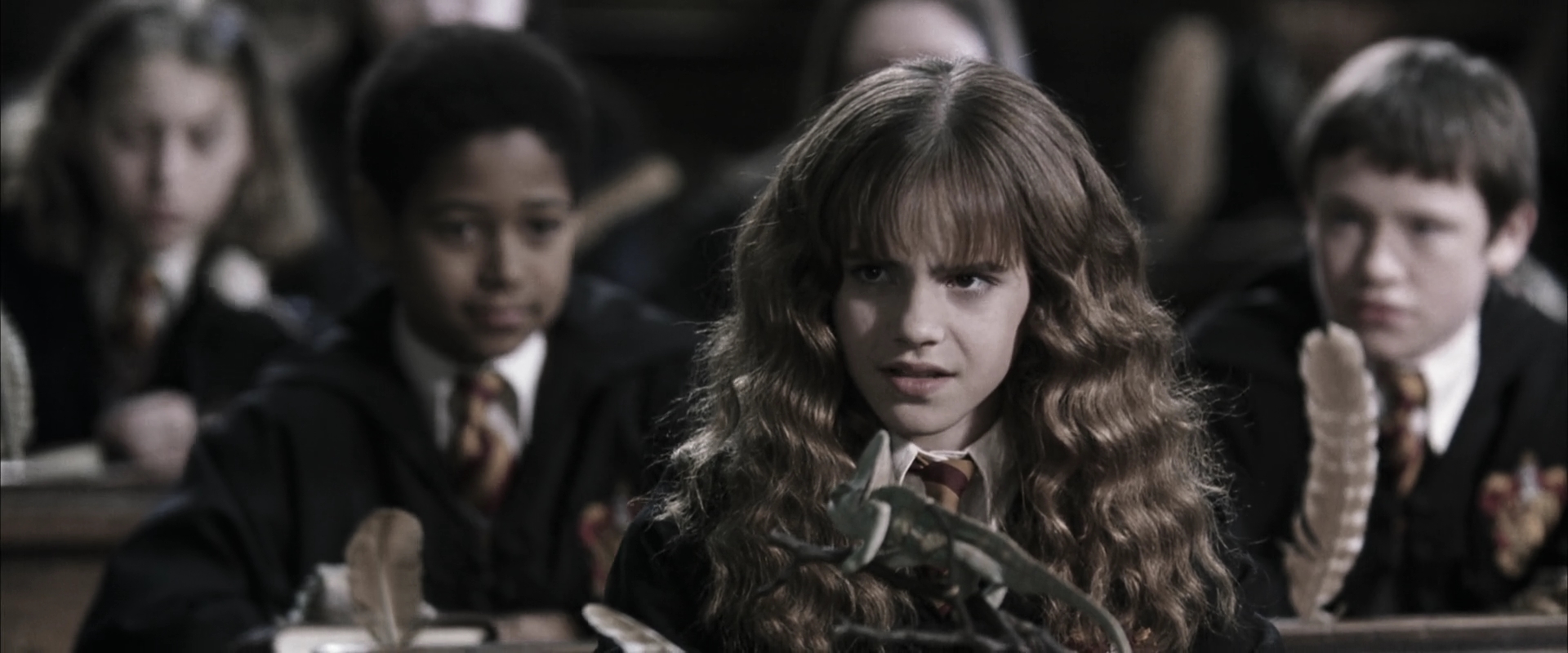 EmmaWatsonFan-dot-nl_HarryPotterandtheChamberOfSecrets1857.jpg