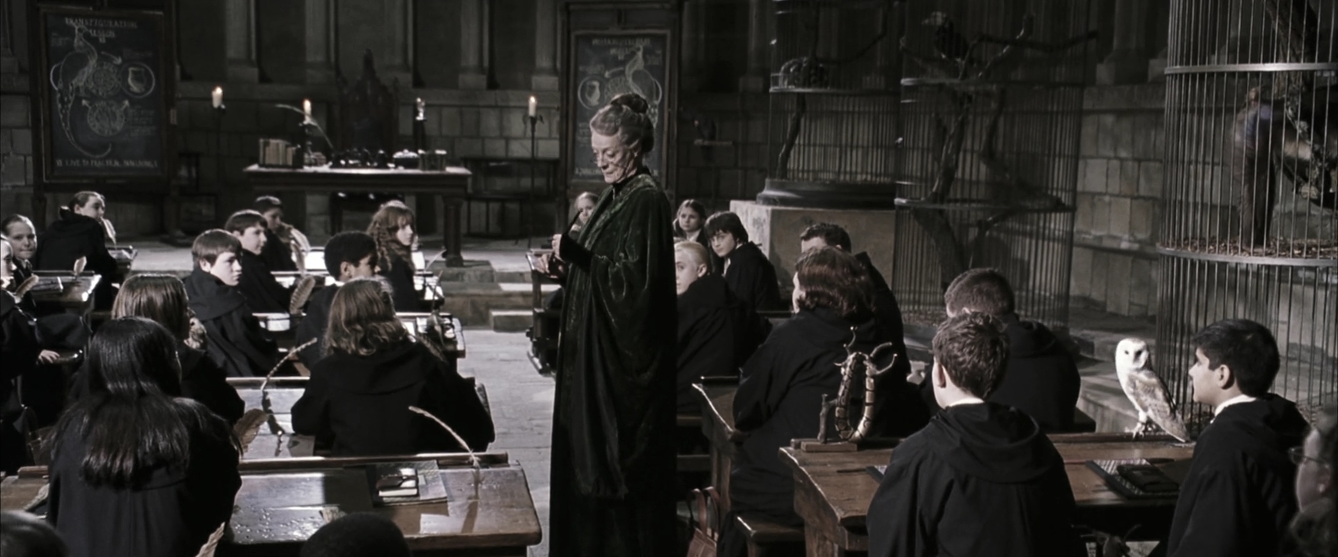 EmmaWatsonFan-dot-nl_HarryPotterandtheChamberOfSecrets1915.jpg