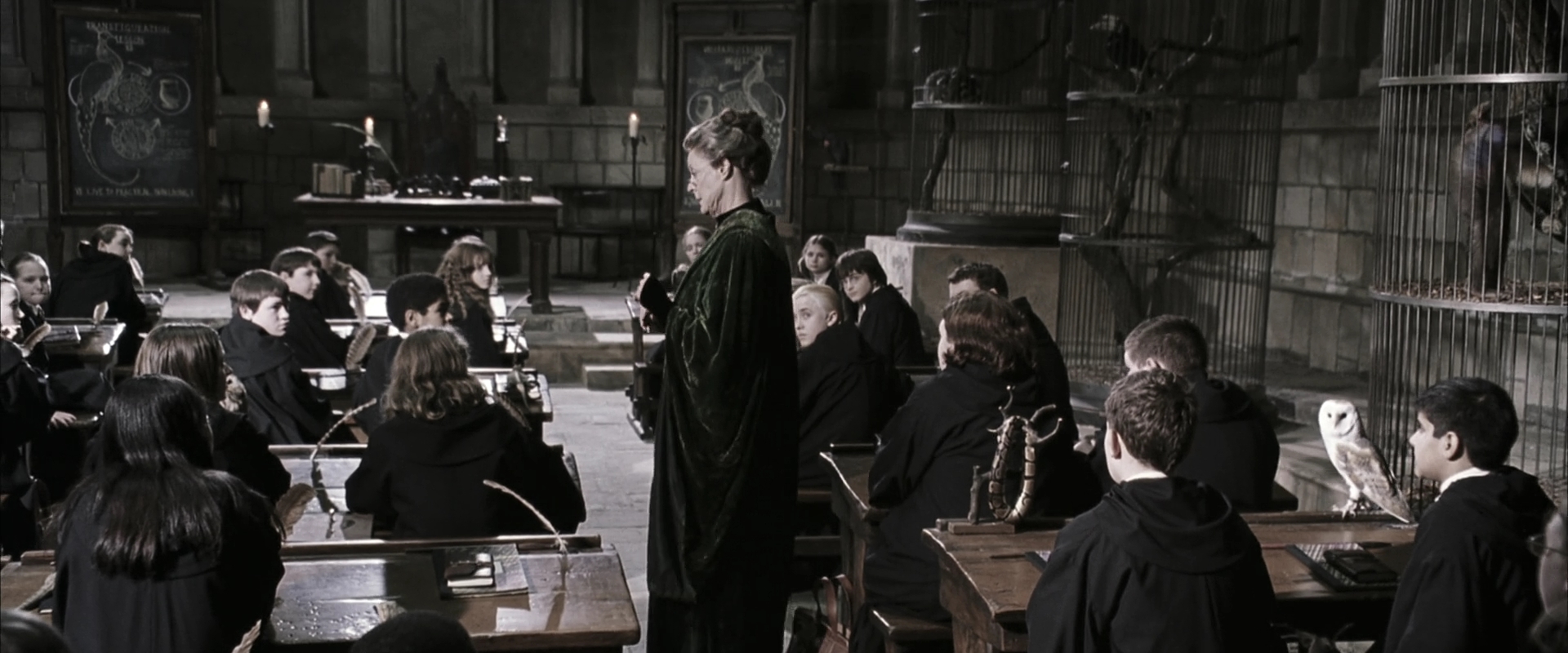 EmmaWatsonFan-dot-nl_HarryPotterandtheChamberOfSecrets1916.jpg