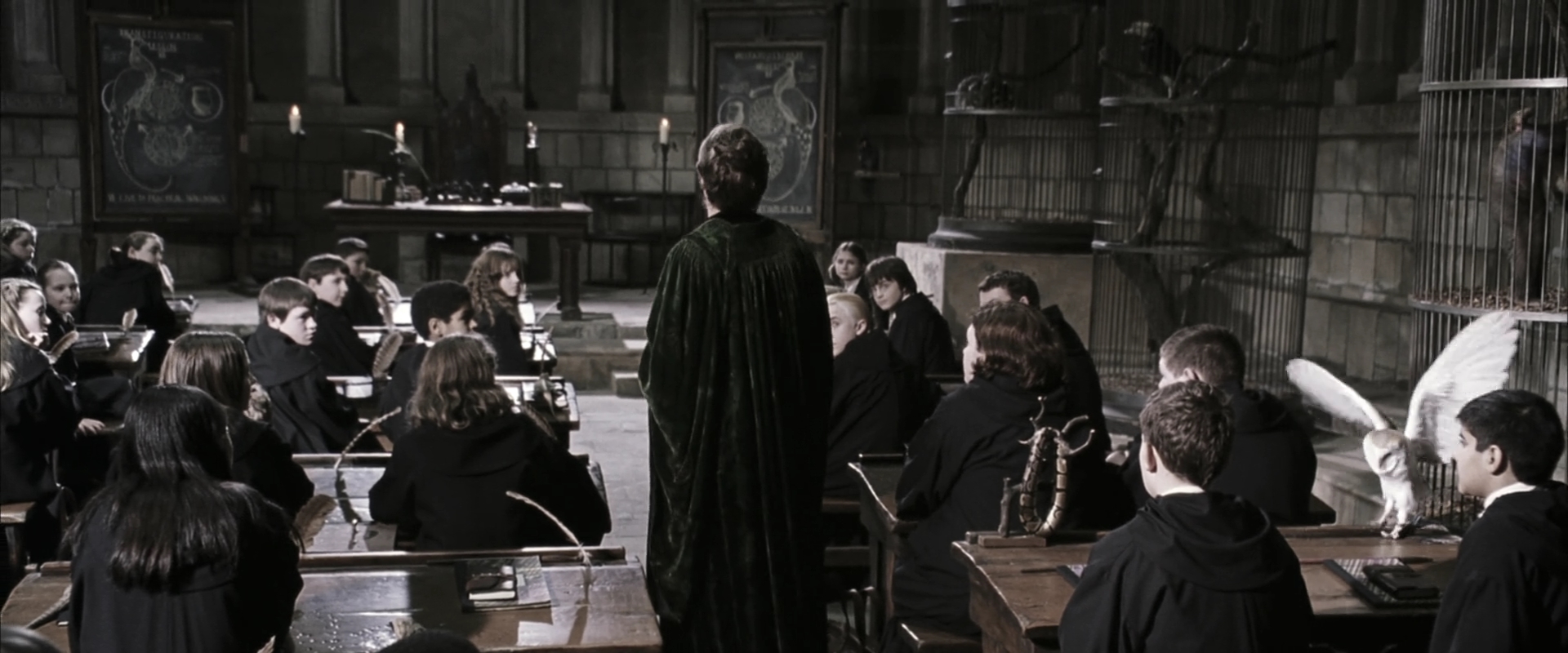EmmaWatsonFan-dot-nl_HarryPotterandtheChamberOfSecrets1919.jpg