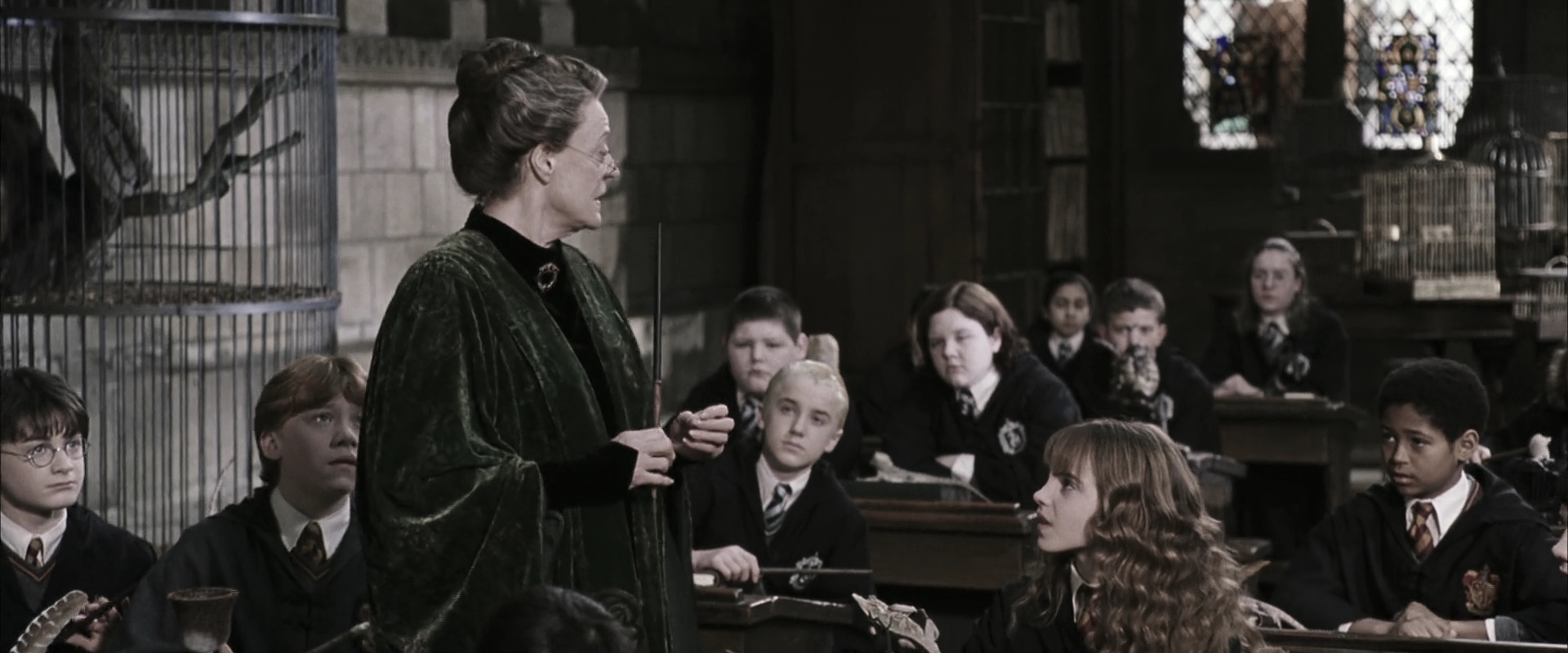 EmmaWatsonFan-dot-nl_HarryPotterandtheChamberOfSecrets1929.jpg