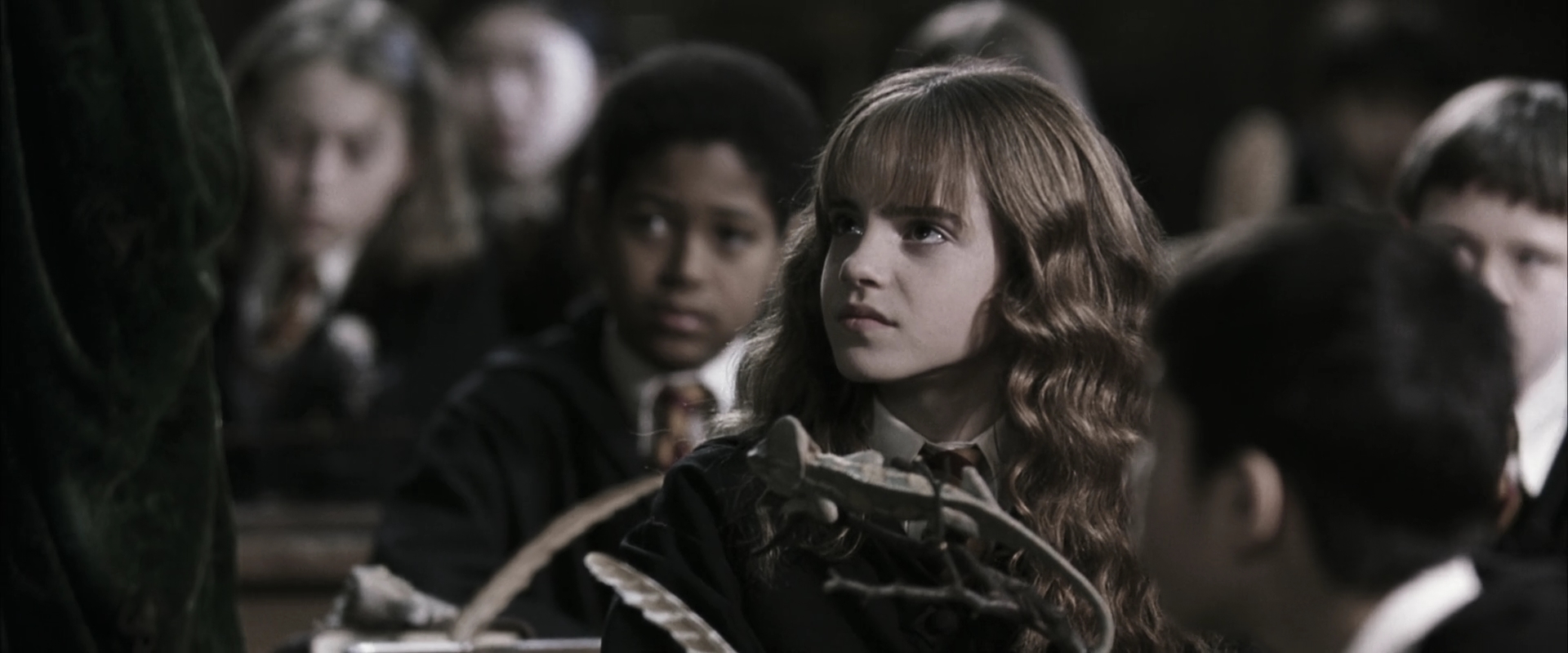EmmaWatsonFan-dot-nl_HarryPotterandtheChamberOfSecrets1937.jpg